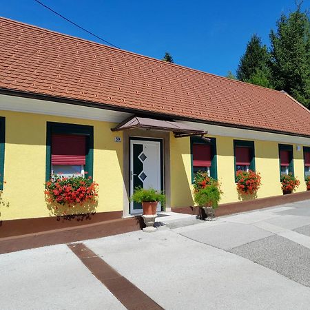 Hotel Pri Belokranjcu Novo Mesto Exterior foto